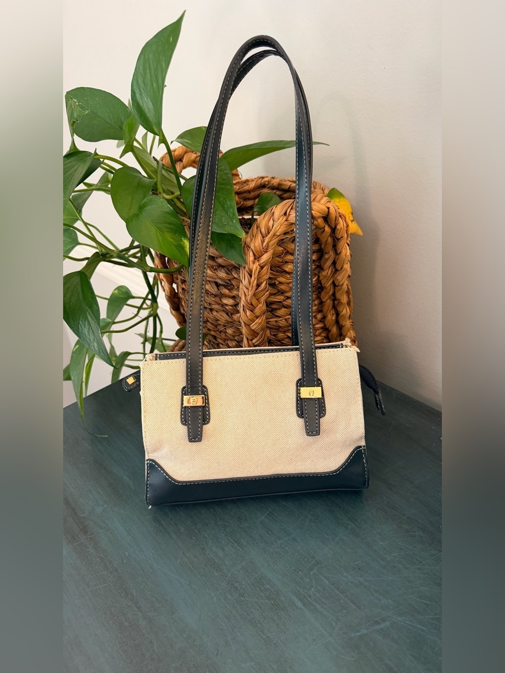 Etienne Aigner mini bag. Vintage Canvas bag